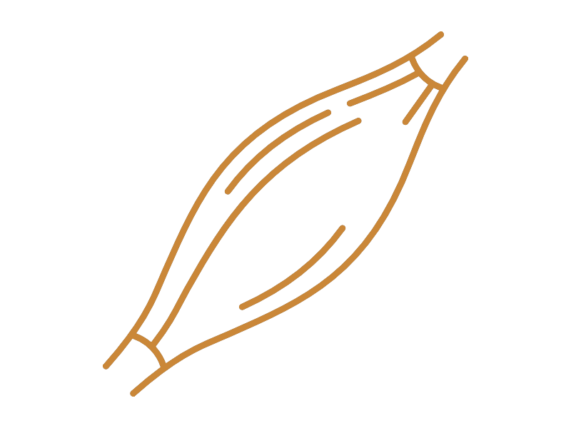 pictogramm_muskelschmerzen_800_600